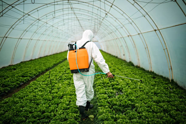 Reliable Douglass Hills, KY Pest Control Solutions