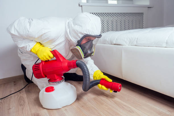 Best Mosquito Control Services  in Douglass Hills, KY